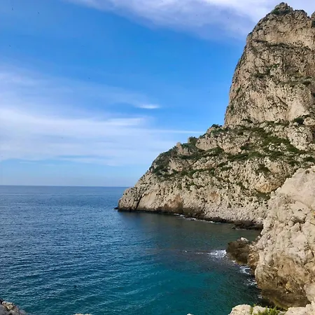 Anto Antonella * バゲリーア